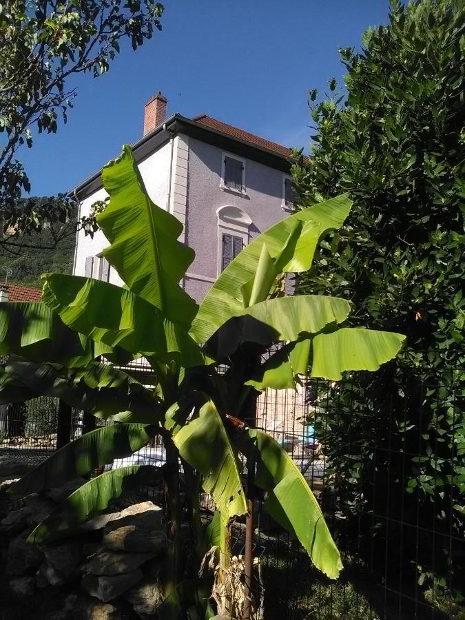 A Deux Pas Du Rheby Otel Villebois Dış mekan fotoğraf